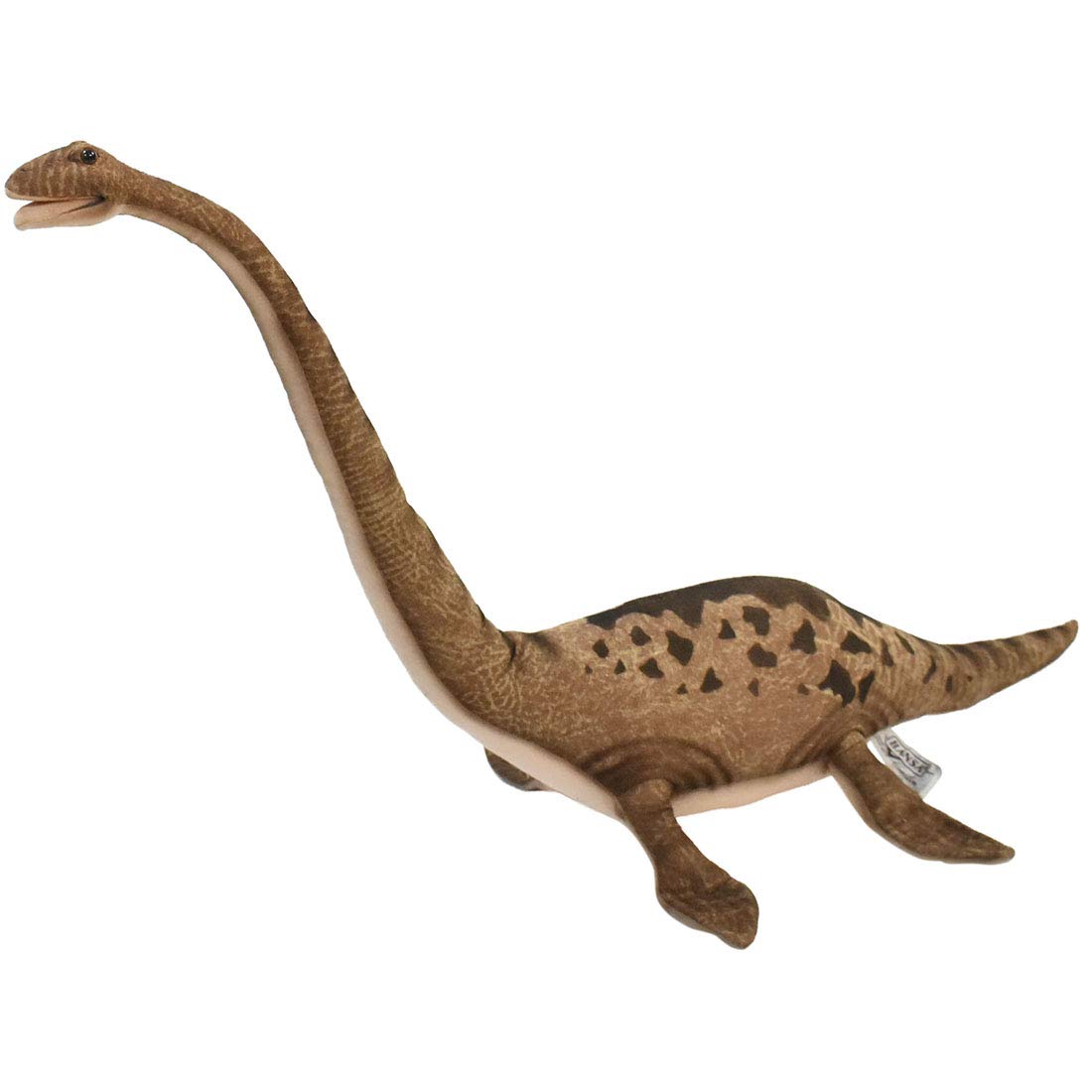 BH6120 HANSA Futabasaurus 62
BH6120 HANSA Futabasaurus 62