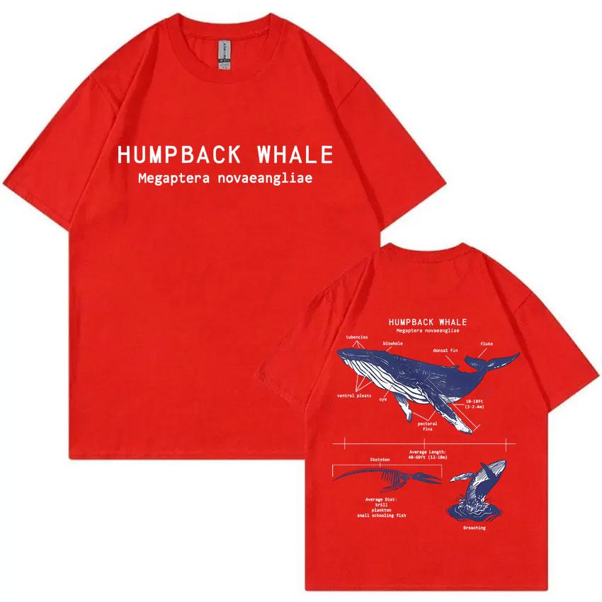 Marine Animals Humpback Whale Anatomy Graphic T-shirt Unisex Women Casual Oversized Crewneck T Shirts Unisex s Vintage Cotton T-shirts S
Marine Animals Humpback Whale Anatomy Graphic T-shirt Unisex Women Casual Oversized Crewneck T Shirts Unisex s Vintage Cotton T-shirts S