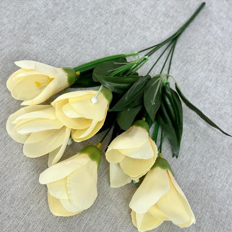 Silk Artificial Yulania Denudata Display For Wedding Gifts And Indoor Decor Home Champagne
Silk Artificial Yulania Denudata Display For Wedding Gifts And Indoor Decor Home Champagne