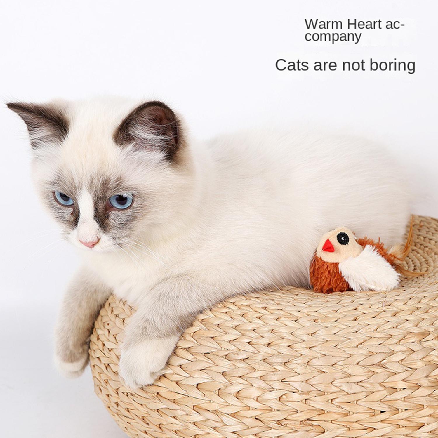 Sounding Bird Feather Tail Cat Toys Catnip Fun Cat Toys Cat Hobby Toys Adorable Cute Pets Best Companion Every cat wants one! чёрный
Sounding Bird Feather Tail Cat Toys Catnip Fun Cat Toys Cat Hobby Toys Adorable Cute Pets Best Companion Every cat wants one! чёрный