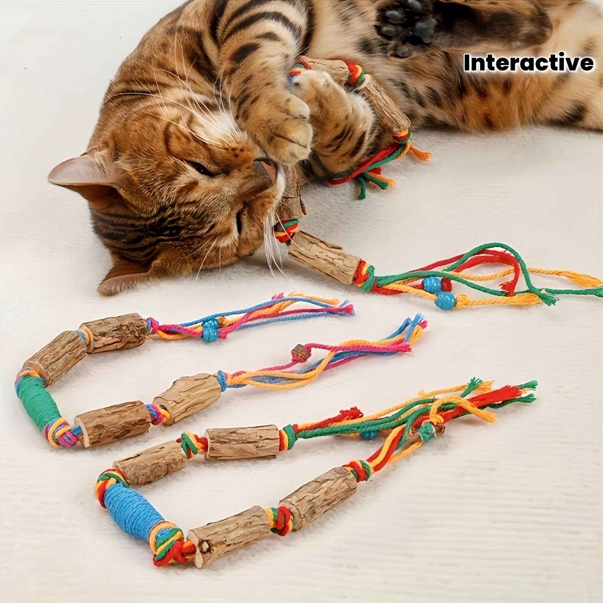 A fun and innovative cat toy featuring a durable interactive rope, designed specifically for dental care
A fun and innovative cat toy featuring a durable interactive rope, designed specifically for dental care
