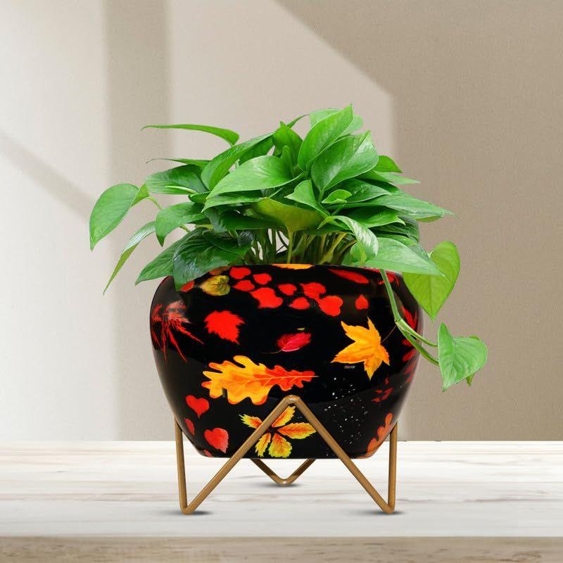 Pots for Plants, Plant Pots for Home Decoration, Succulent Pot, Indoor Planter Balcony Garden Decor (Size: 6X6 inch) Style: Autumn Whisper
Pots for Plants, Plant Pots for Home Decoration, Succulent Pot, Indoor Planter Balcony Garden Decor (Size: 6X6 inch) Style: Autumn Whisper