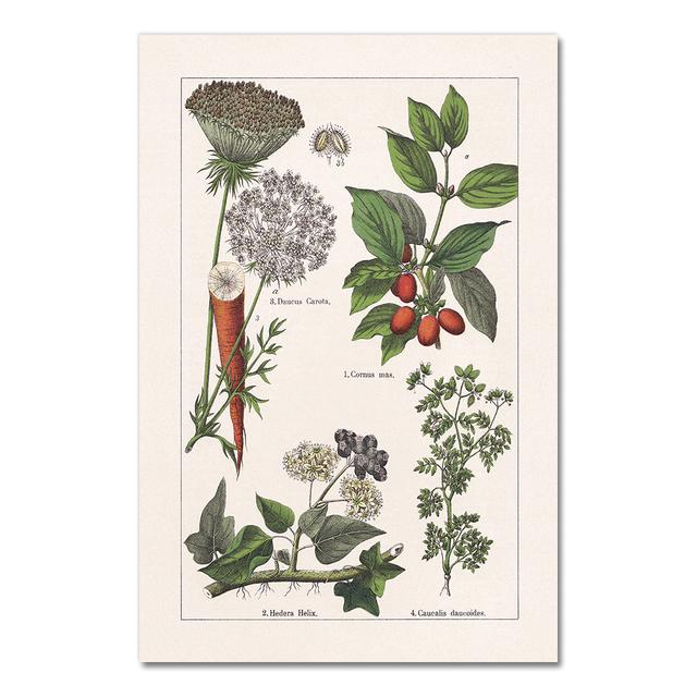 Винтажные постеры и принты с ботаническими травами, домашний декор стен, античная растительная ботаника, настенная живопись на холсте, картины для кухни без рамы 21*30cm
Винтажные постеры и принты с ботаническими травами, домашний декор стен, античная растительная ботаника, настенная живопись на холсте, картины для кухни без рамы 21*30cm