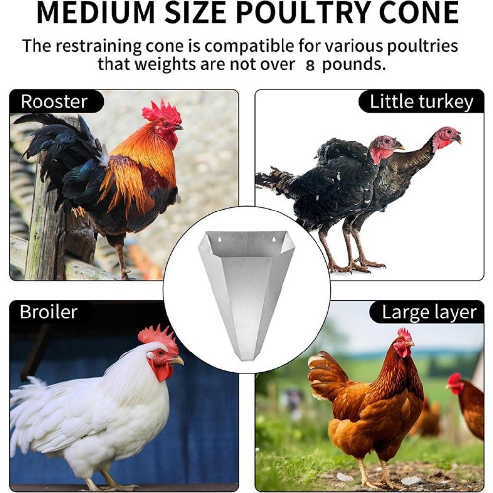 Heavy Type Chicken Cone Practical Poultry Processing Tool Poultry Restraining Cone For Chicken Poultry Cone
Heavy Type Chicken Cone Practical Poultry Processing Tool Poultry Restraining Cone For Chicken Poultry Cone