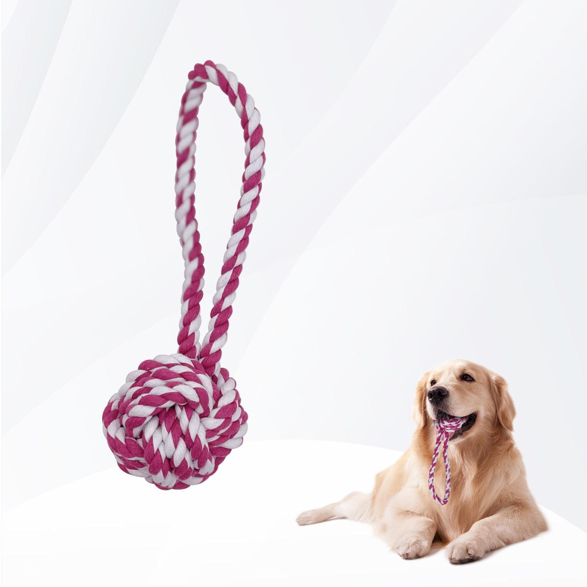 Teddy Bichon Puppy Rope Knot & Chewing Stick for Small/Medium Dogs
Teddy Bichon Puppy Rope Knot & Chewing Stick for Small/Medium Dogs