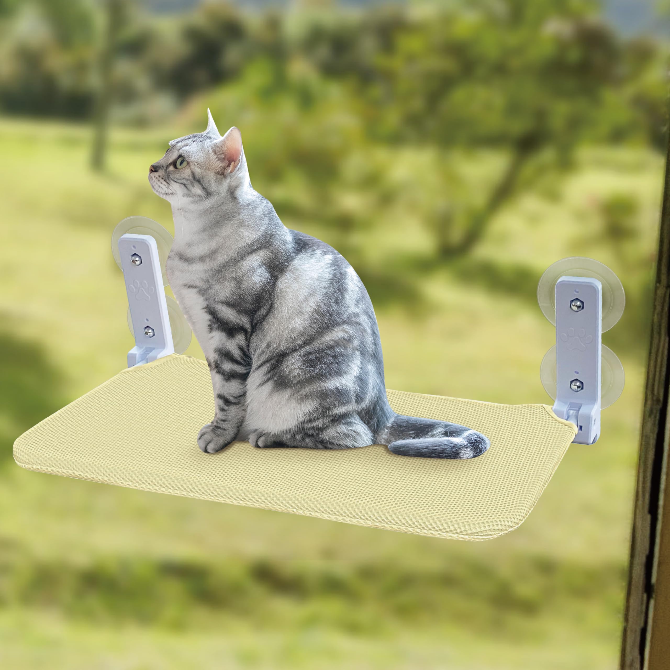 KUERUE Cat Window Cat Window Cat Cat Foldable Cat Suction Window Suction Cup Pet Cat Cat Window Ventilation Window Load Capacity Stress Easy to бежевый
KUERUE Cat Window Cat Window Cat Cat Foldable Cat Suction Window Suction Cup Pet Cat Cat Window Ventilation Window Load Capacity Stress Easy to бежевый