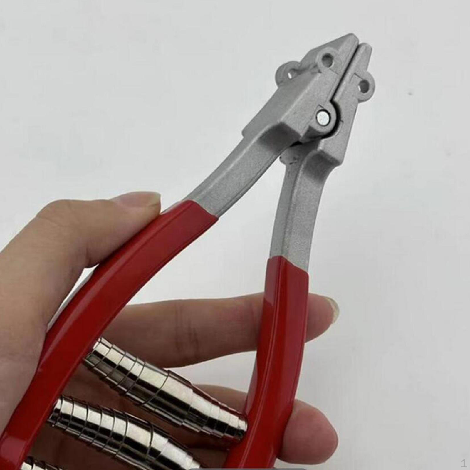 Спортивный стартовый зажим, зажимной инструмент, удлинительный провод 1 м, портативное теннисное оборудование для красный 
Спортивный стартовый зажим, зажимной инструмент, удлинительный провод 1 м, портативное теннисное оборудование для красный