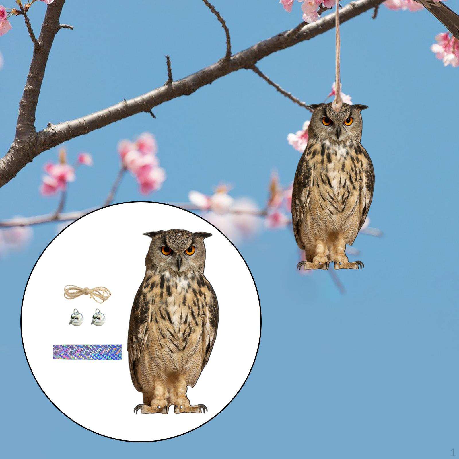 Реалистичная поддельная сова, которая отпугивает птиц для двора, открытого патио Style B
Реалистичная поддельная сова, которая отпугивает птиц для двора, открытого патио Style B