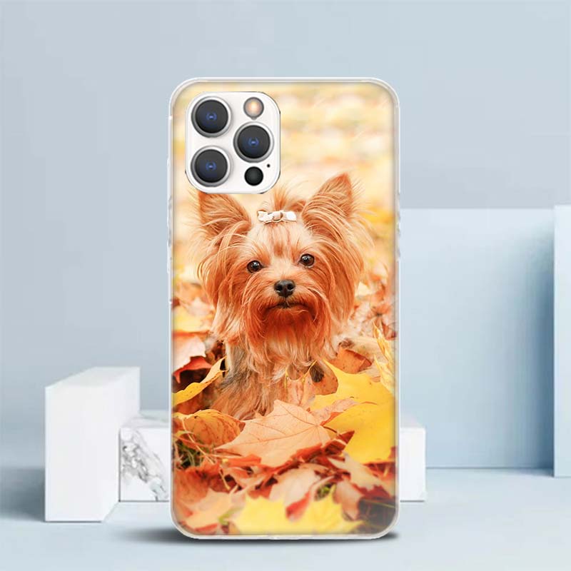 Yorkshire Terrier Dog Puppy Soft Cover for iPhone 16 17 Air 15 14 Pro Max 16E Phone Case 13 Mini 12 11 7 SE 8 Print Pattern Fit iPhone 11
Yorkshire Terrier Dog Puppy Soft Cover for iPhone 16 17 Air 15 14 Pro Max 16E Phone Case 13 Mini 12 11 7 SE 8 Print Pattern Fit iPhone 11