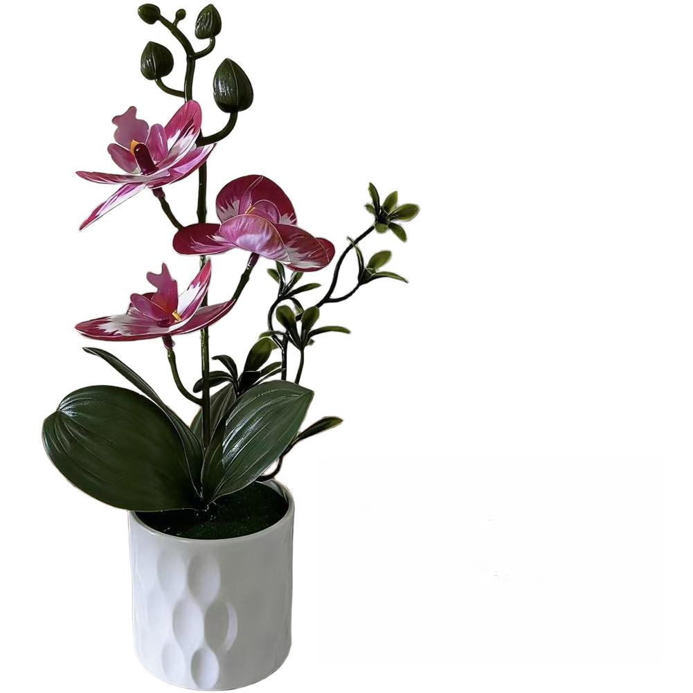 Plastic Orchid Arrangement Designed to Complement Both Daylight and Artificial Illumination Without Glare or Washout
Plastic Orchid Arrangement Designed to Complement Both Daylight and Artificial Illumination Without Glare or Washout