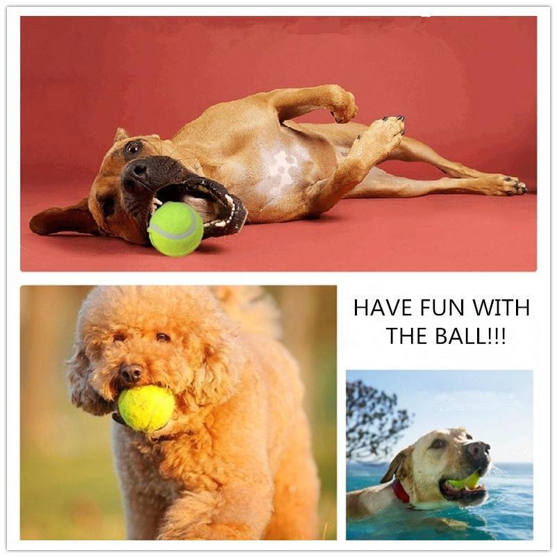 24CM/6.5CM Giant Tennis Balls Dog Toys Run Fetch Throw Play Pet Puppy Toys for Dog s Training Pet Supplies
24CM/6.5CM Giant Tennis Balls Dog Toys Run Fetch Throw Play Pet Puppy Toys for Dog s Training Pet Supplies
