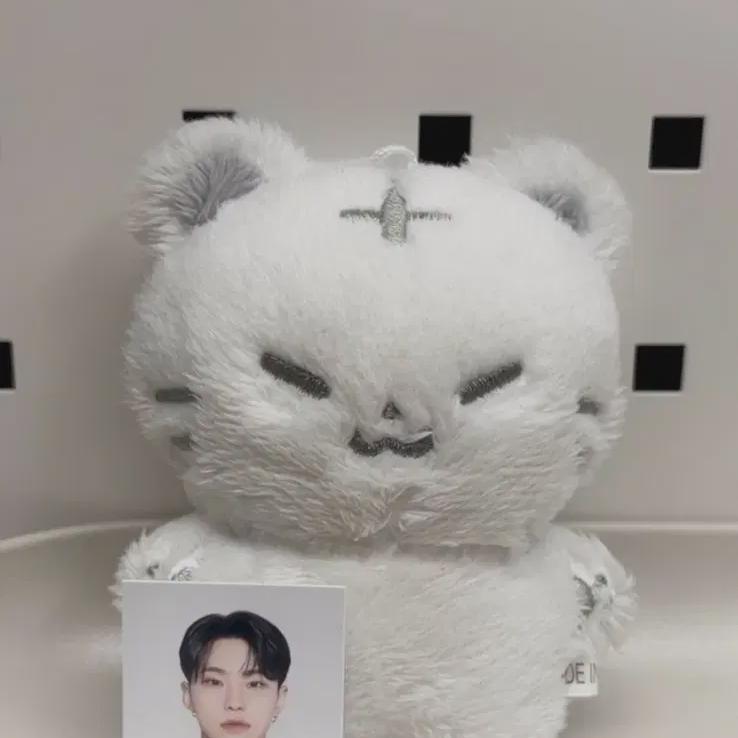 Seventeen Кукла Хоши Хочи + Сертификат фан-клуба Отель Подросток
Seventeen Кукла Хоши Хочи + Сертификат фан-клуба Отель Подросток