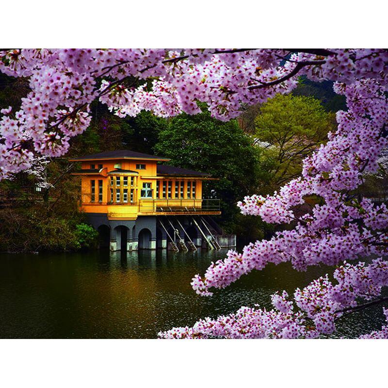 Дома Пейзаж 5D Diy Алмазная картина Вышивка крестиком Алмазная мозаика Набор для вышивания пейзажей Полный круглый дом D Full Round 30x40CM
Дома Пейзаж 5D Diy Алмазная картина Вышивка крестиком Алмазная мозаика Набор для вышивания пейзажей Полный круглый дом D Full Round 30x40CM