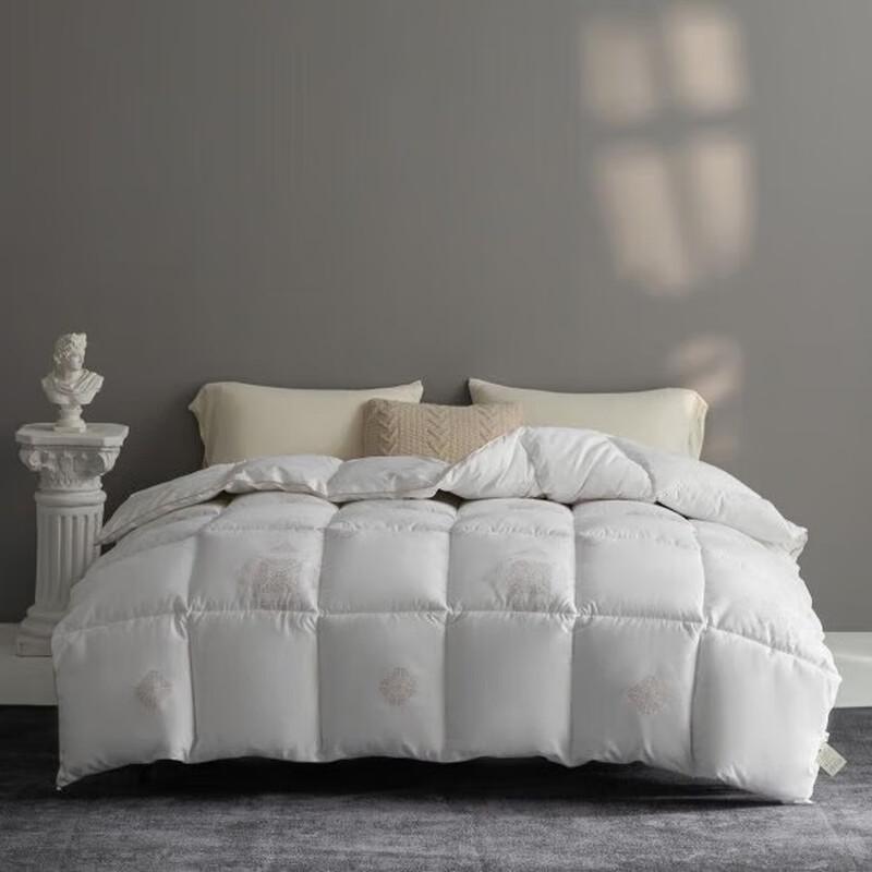 HodoHome Royal Space Fiber Comforter
HodoHome Royal Space Fiber Comforter