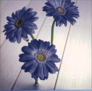 CD SISTER K, MARC, TETSUYA KOMURO; KAS - DEPARTURES WPC610024PROMO Japan ObiJapanese Pop/Rock Used
CD SISTER K, MARC, TETSUYA KOMURO; KAS - DEPARTURES WPC610024PROMO Japan ObiJapanese Pop/Rock Used