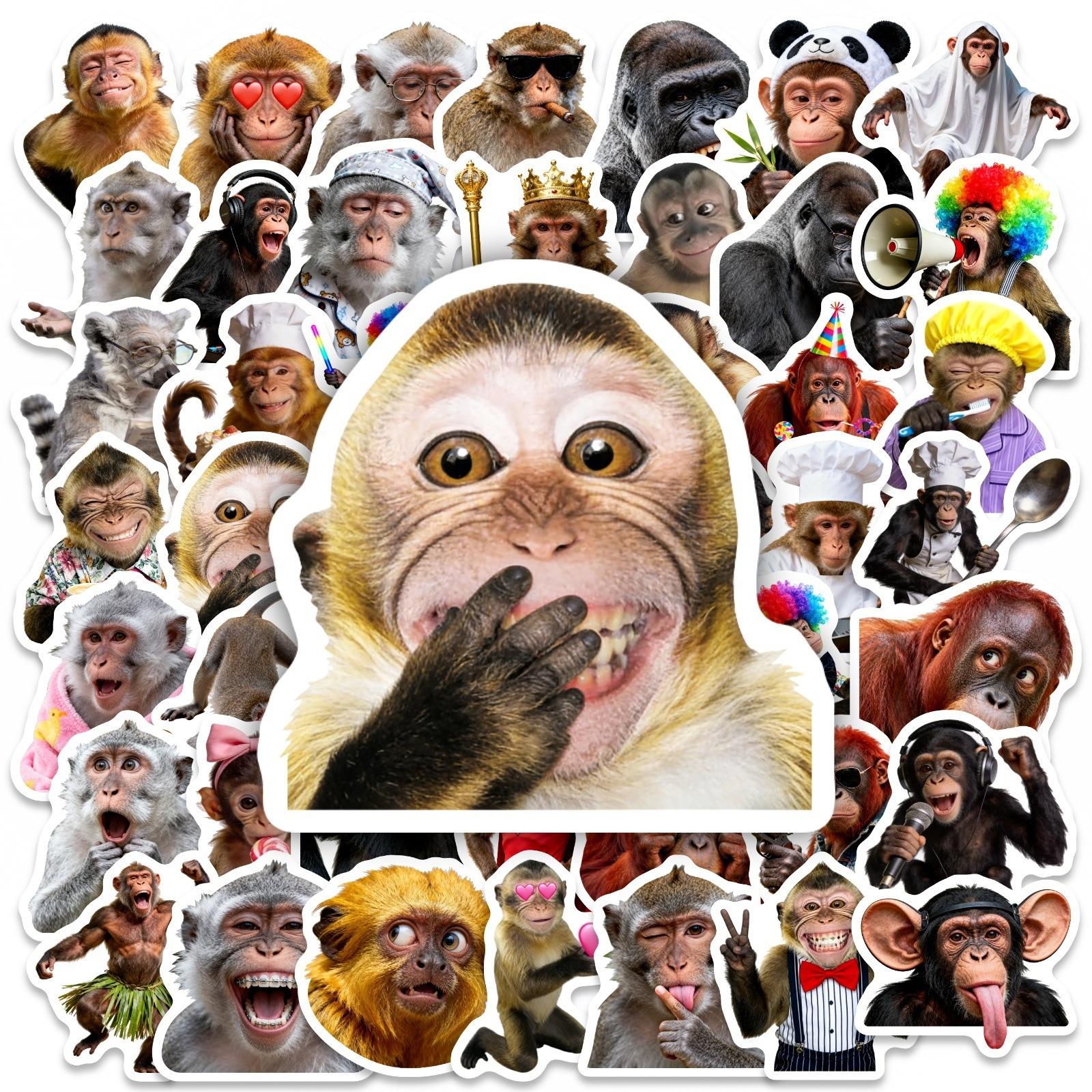 50/100 Pcs Monkey Funny Face Stickers, Waterproof Vinyl for Helmet Skate Car Bicycle Phone Laptop Scrapbook Decor Decals
50/100 Pcs Monkey Funny Face Stickers, Waterproof Vinyl for Helmet Skate Car Bicycle Phone Laptop Scrapbook Decor Decals