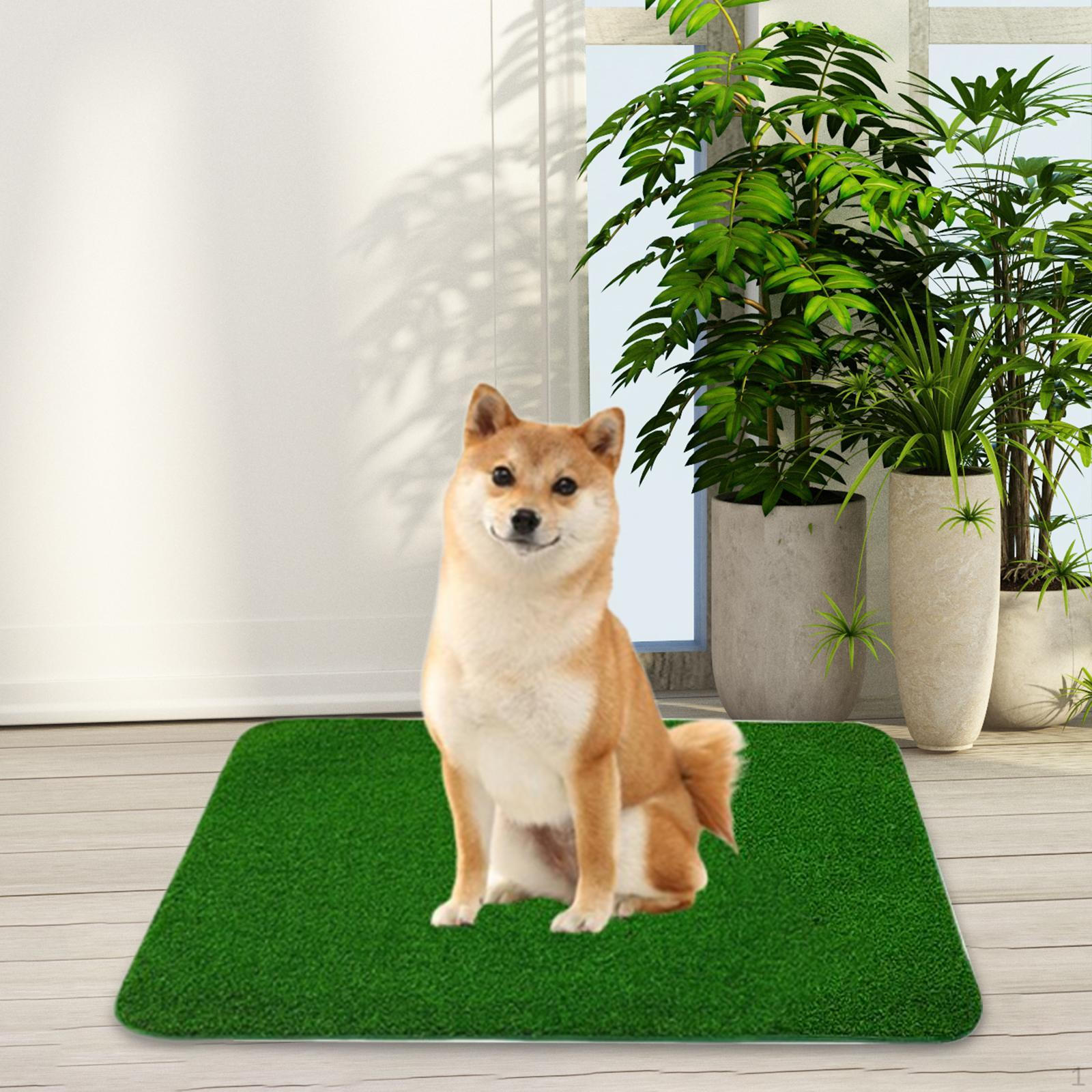 Artificial Dog Grass Pee Pad Fake Animals Cushion Waterproof Replacement Turf Potty Mat 46cmx58cm
Artificial Dog Grass Pee Pad Fake Animals Cushion Waterproof Replacement Turf Potty Mat 46cmx58cm