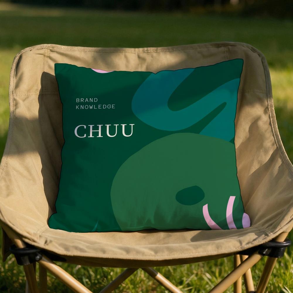Korea Brand CChuu Cushion Cover Soft Reversible Durable Pillow Cover MultiScene Use for Home Car Daily Comfort 30x30cm
Korea Brand CChuu Cushion Cover Soft Reversible Durable Pillow Cover MultiScene Use for Home Car Daily Comfort 30x30cm