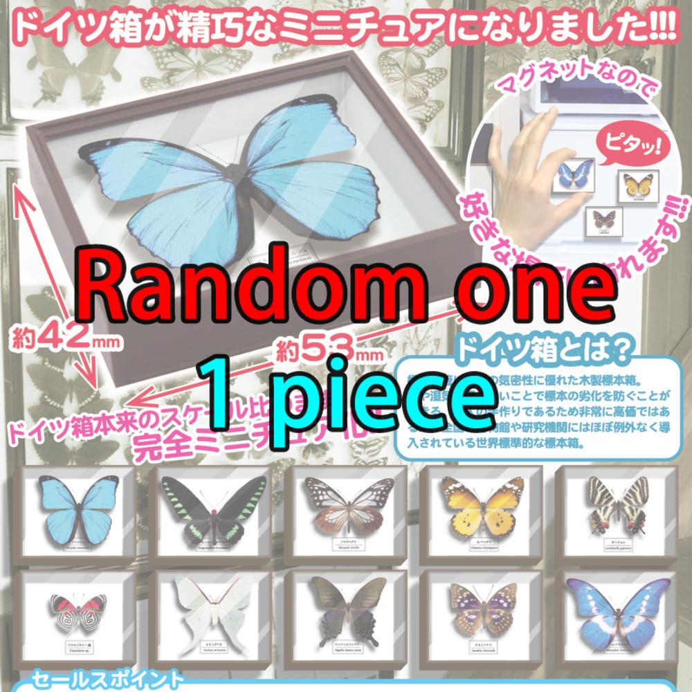 Капсула Гашапон Игрушка Акриловый Образец Модель Бабочки Украшения Фигурка Аксессуары Гашапон Украшение
Капсула Гашапон Игрушка Акриловый Образец Модель Бабочки Украшения Фигурка Аксессуары Гашапон Украшение