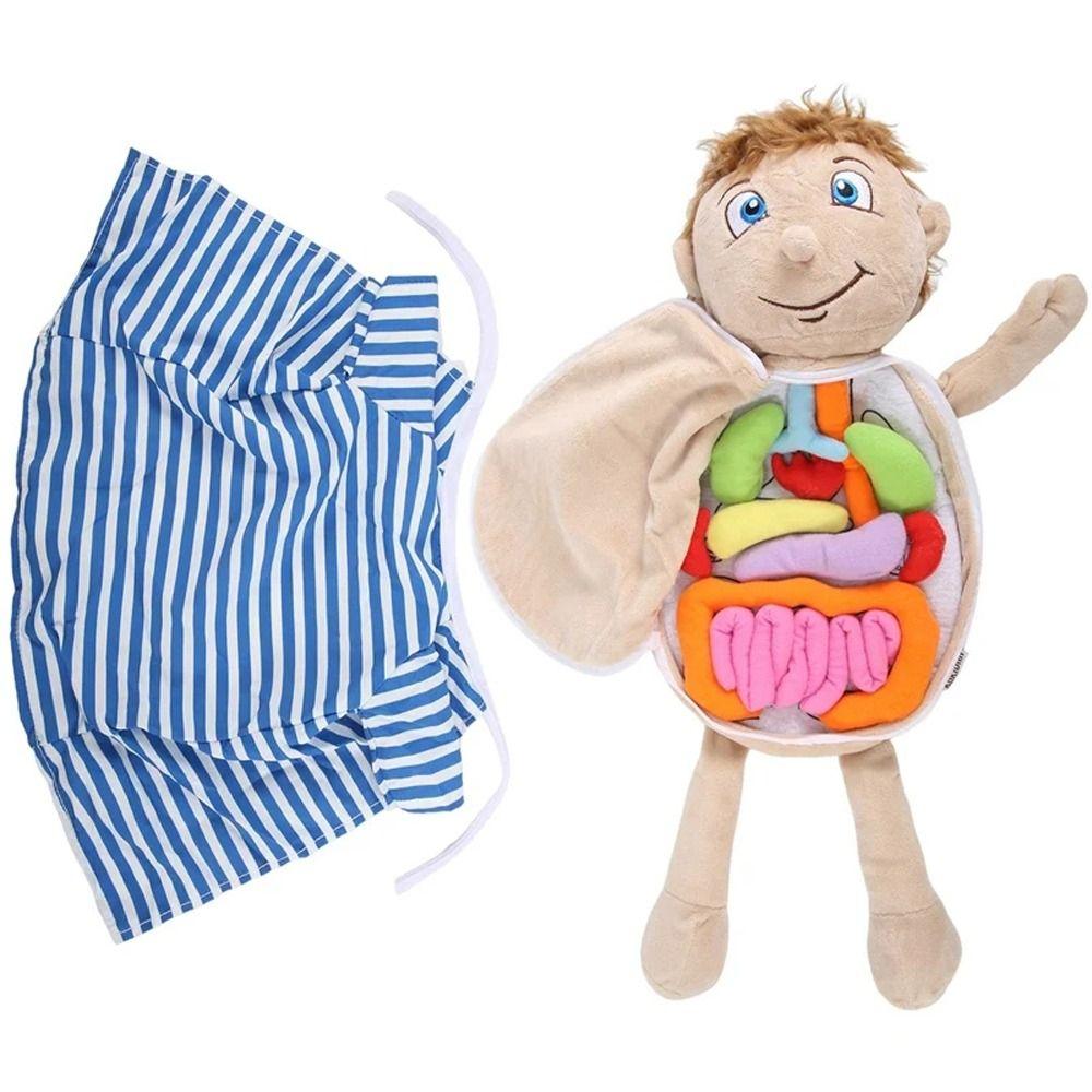 3D Puzzle Anatomy Plush Toy DIY Assembled Human Body Organ Plush Body Organs Children Preschool 
3D Puzzle Anatomy Plush Toy DIY Assembled Human Body Organ Plush Body Organs Children Preschool