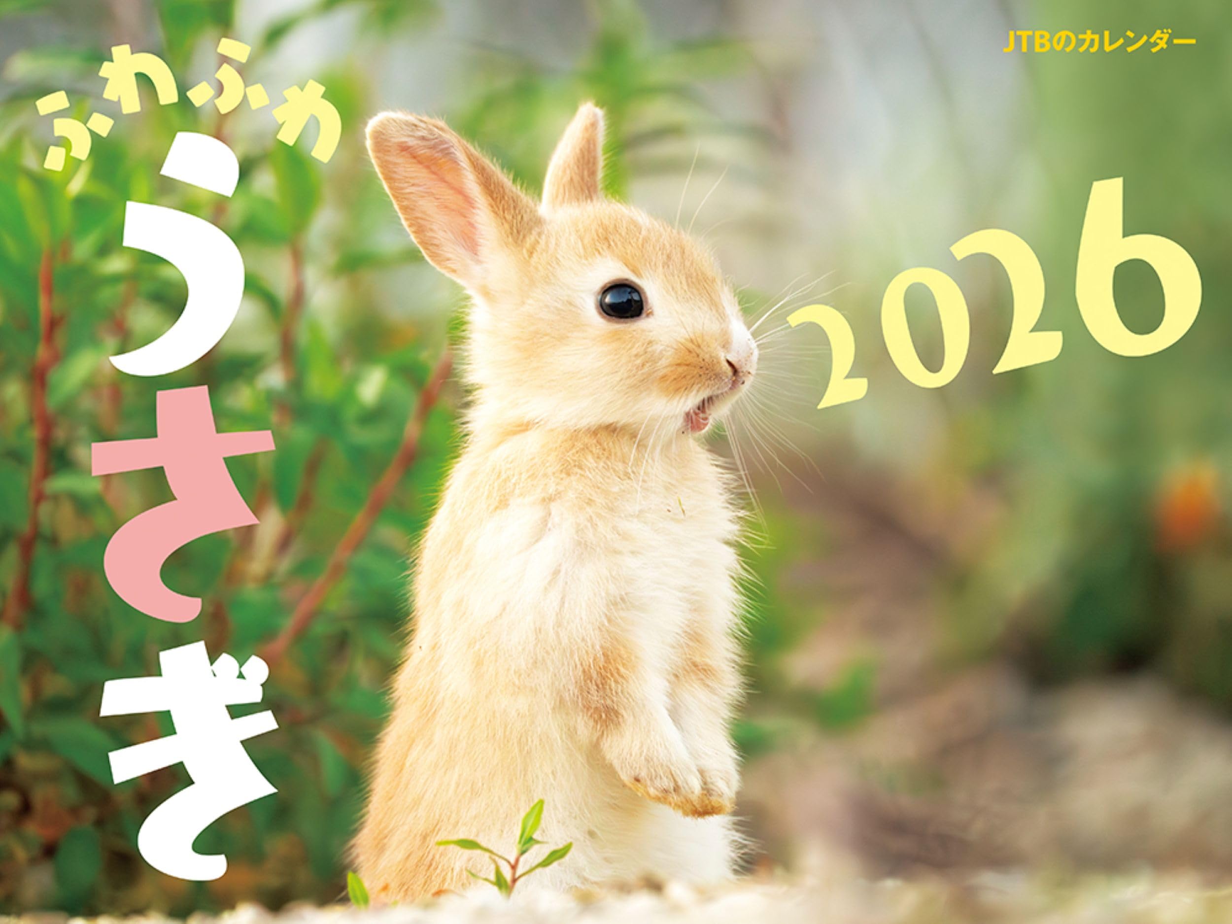 JTB Fluffy Rabbit 2026 Calendar (Wall Hanging/Monthly/Animal) (Calendar 2026)
JTB Fluffy Rabbit 2026 Calendar (Wall Hanging/Monthly/Animal) (Calendar 2026)