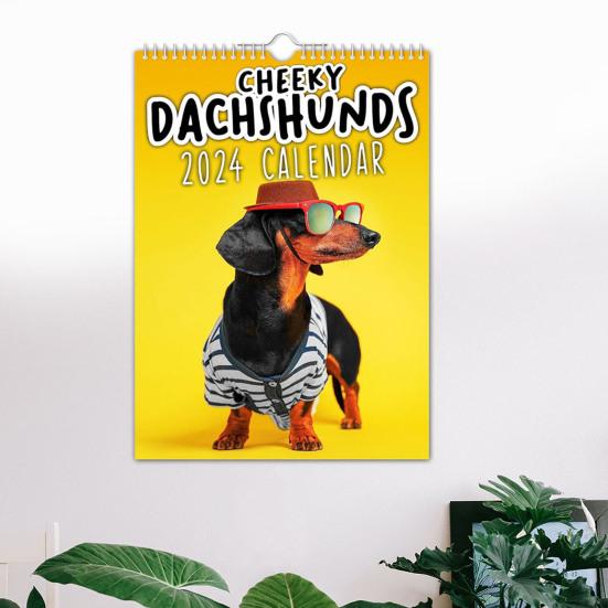 Настенный календарь Cheeky Dachshunds с забавным принтом собаки, просторное место для письма с отверстием для подвешивания, календарь для собак на 2024 год
Настенный календарь Cheeky Dachshunds с забавным принтом собаки, просторное место для письма с отверстием для подвешивания, календарь для собак на 2024 год