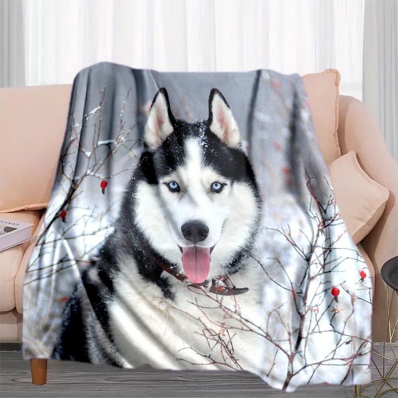 1PC Dog cute printed blanket, all season lightweight home office outdoor nap multifunctional blanket A12 80cm x 120cm
1PC Dog cute printed blanket, all season lightweight home office outdoor nap multifunctional blanket A12 80cm x 120cm