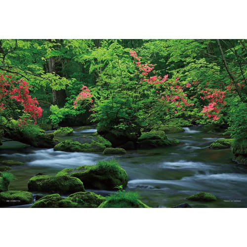 108 piece jigsaw puzzle Oirase Gorge (Aomori) that brings a cool feeling Large piece (26 x 38 cm)
108 piece jigsaw puzzle Oirase Gorge (Aomori) that brings a cool feeling Large piece (26 x 38 cm)