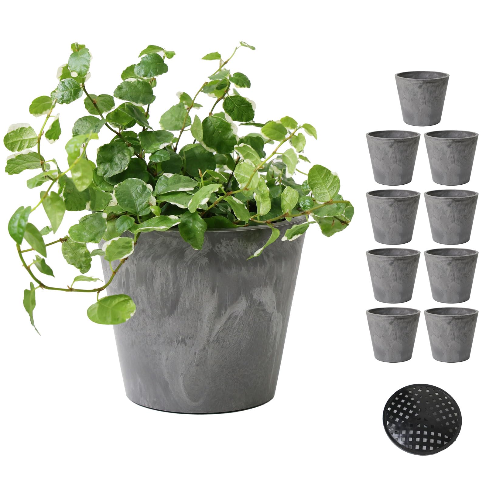 BOTANIQLE Пластиковый Маленький Цветочный Набор из 3 Горшков, Серый, 10, серый
BOTANIQLE Пластиковый Маленький Цветочный Набор из 3 Горшков, Серый, 10, серый
