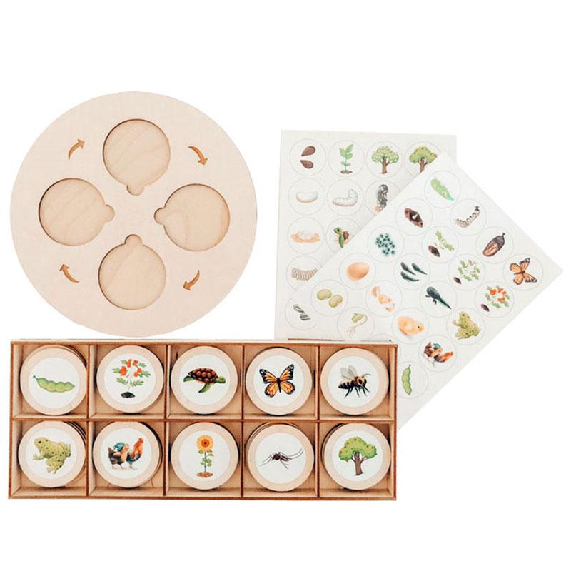 Children Biological Science Teaching Aids Educational Toys Montessori Animal Life Cycle Board Growth Model Tray Game Wooden Toys
Children Biological Science Teaching Aids Educational Toys Montessori Animal Life Cycle Board Growth Model Tray Game Wooden Toys