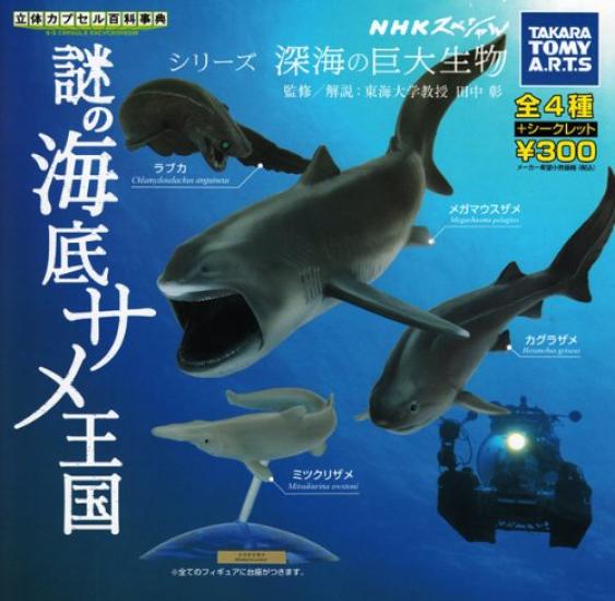 3D Капсульная энциклопедия NHK Special Таинственное подводное королевство акул Все 5 типов Набор Gacha Gacha
3D Капсульная энциклопедия NHK Special Таинственное подводное королевство акул Все 5 типов Набор Gacha Gacha