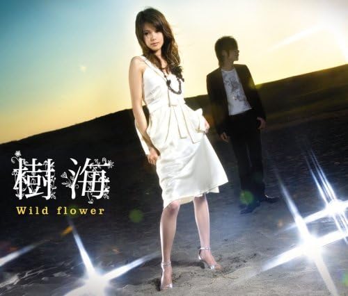 CD JUKAI, MANAMI WATANABE, YOSHIAKI DE - Wild flower GNCX1001 Japan ObiJapanese Others Used
CD JUKAI, MANAMI WATANABE, YOSHIAKI DE - Wild flower GNCX1001 Japan ObiJapanese Others Used