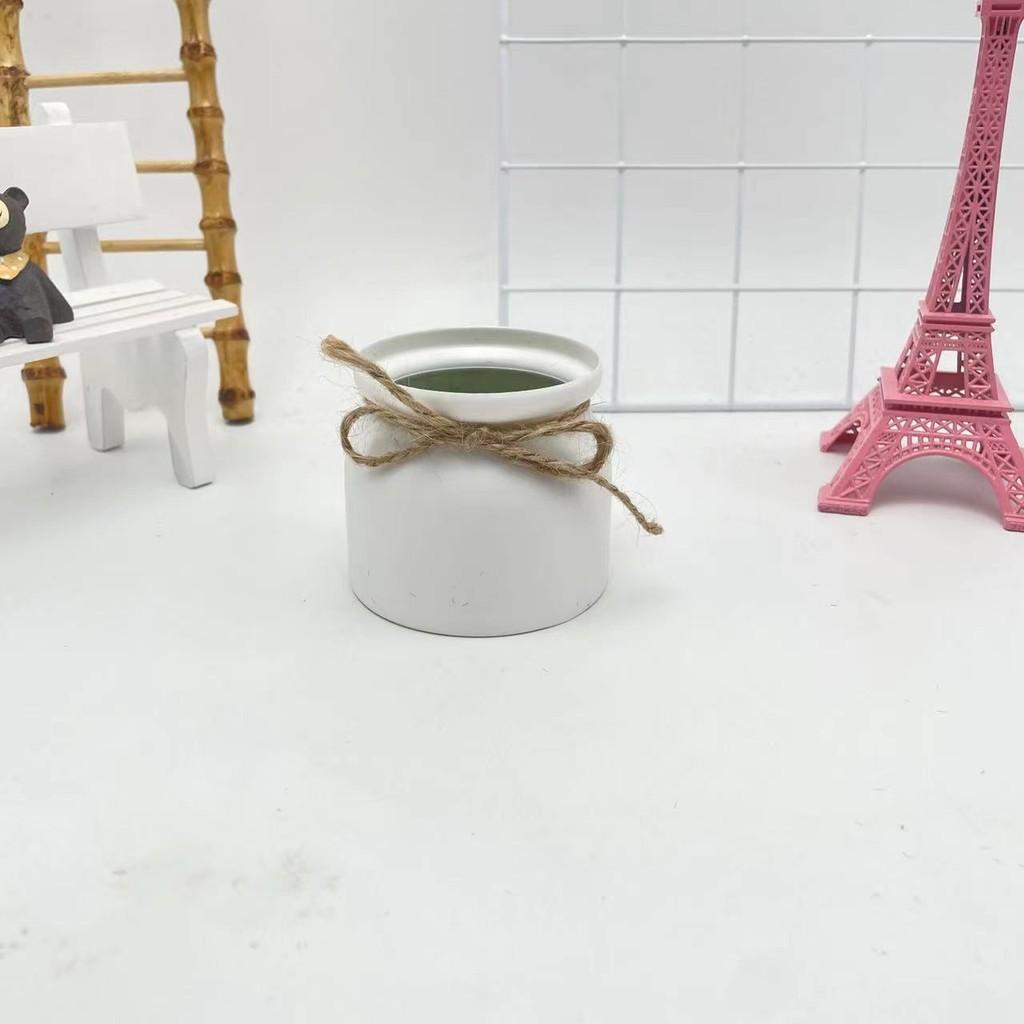 Plastic Foam Mini Desktop Plant Pot With Hemp Rope Bow Decor For Home Garden
Plastic Foam Mini Desktop Plant Pot With Hemp Rope Bow Decor For Home Garden