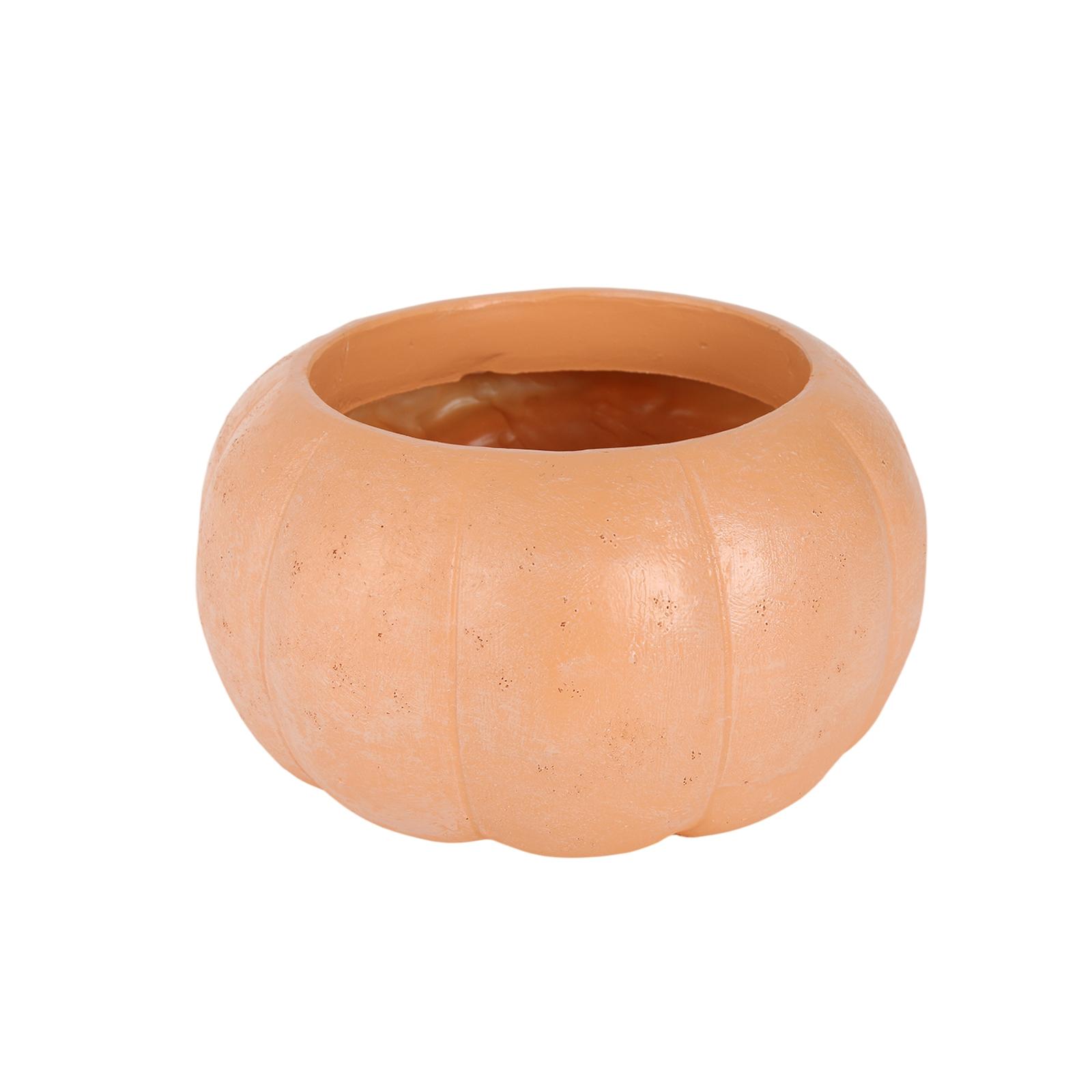 Тыква Кушоу Хэллоуин Украшения Сцена Аранжировка Цветочные горшки Садовое украшение One Size оранжевый
Тыква Кушоу Хэллоуин Украшения Сцена Аранжировка Цветочные горшки Садовое украшение One Size оранжевый