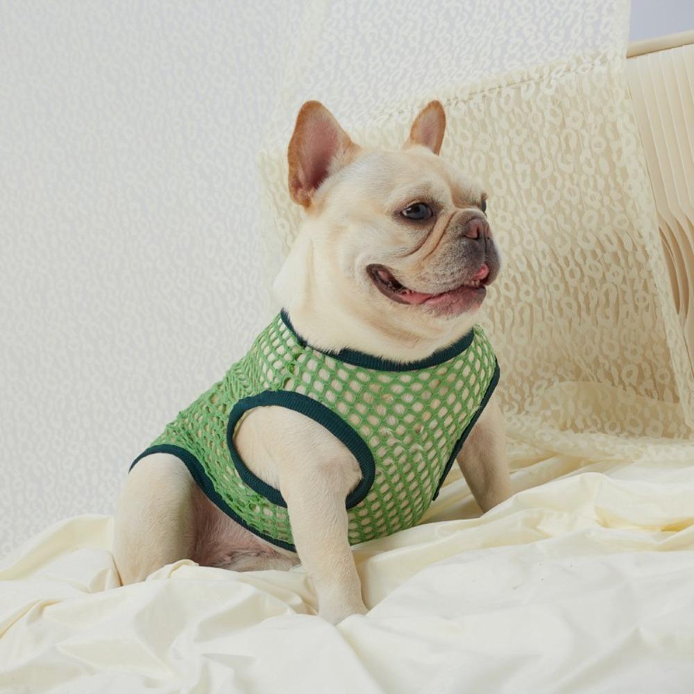Summer Thin Dog T-shirt Sleeveless Pet Clothes Creative Pet Mesh Vest Four Seasons XL червоний
Summer Thin Dog T-shirt Sleeveless Pet Clothes Creative Pet Mesh Vest Four Seasons XL червоний