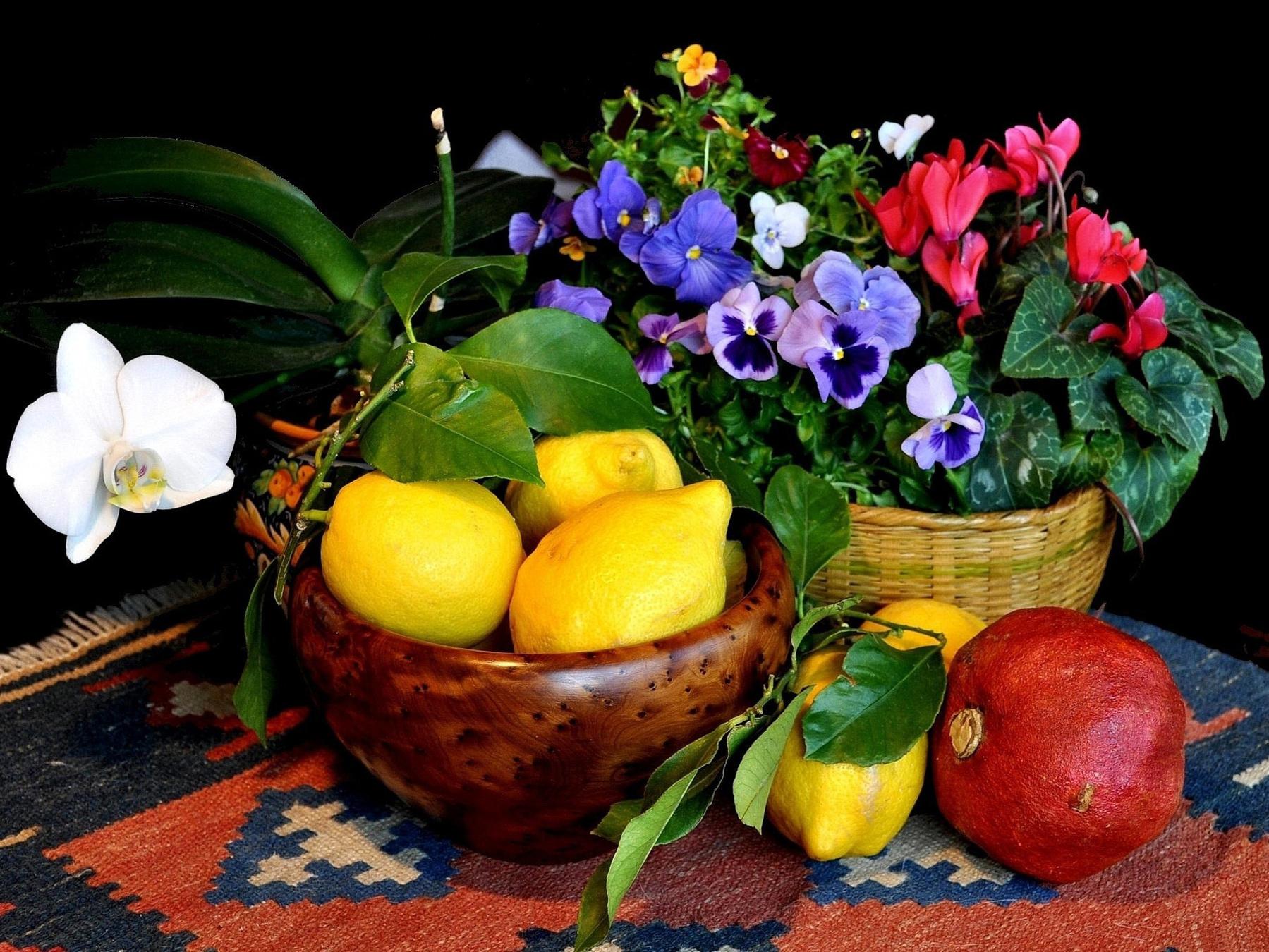 5D Алмазная мозаика Фрукты Наборы для вышивки крестом DIY Алмазная картина Пейзаж Картина из стразов Мозаика Декор для дома Full Round 20x30CM
5D Алмазная мозаика Фрукты Наборы для вышивки крестом DIY Алмазная картина Пейзаж Картина из стразов Мозаика Декор для дома Full Round 20x30CM