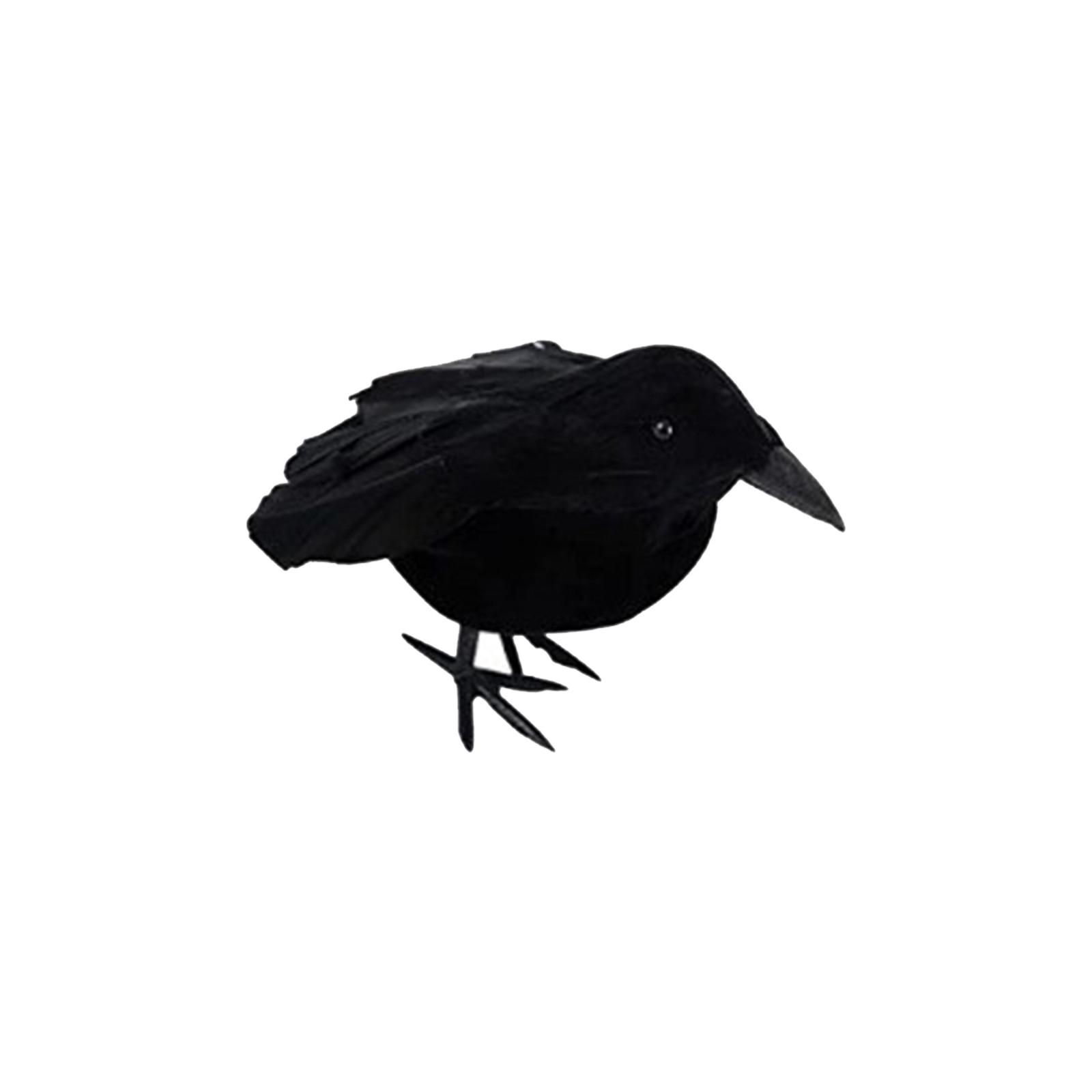Орнамент черной вороны, пластиковое украшение для рабочего стола для декора вечеринки подарков One Size
Орнамент черной вороны, пластиковое украшение для рабочего стола для декора вечеринки подарков One Size