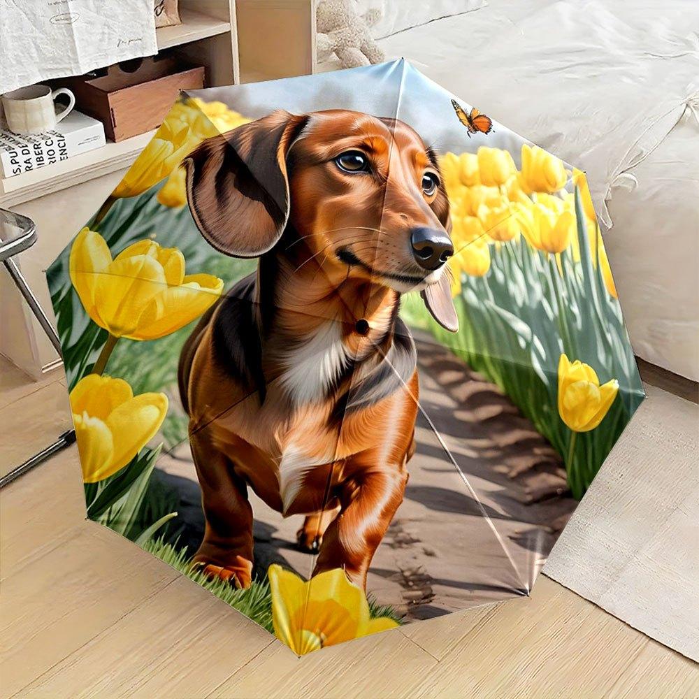 Folding umbrella Dachshund walking among yellow tulips. Creative portable folding umbrella for Christmas and other holiday (as the picture,Iron&8K)
Folding umbrella Dachshund walking among yellow tulips. Creative portable folding umbrella for Christmas and other holiday (as the picture,Iron&8K)