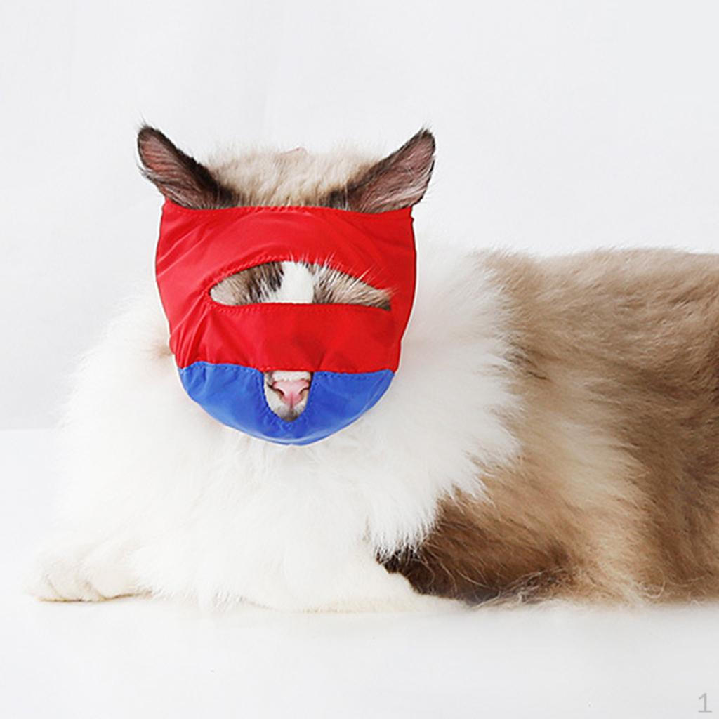 Царапины и намордники против укусов, уход
Царапины и намордники против укусов, уход