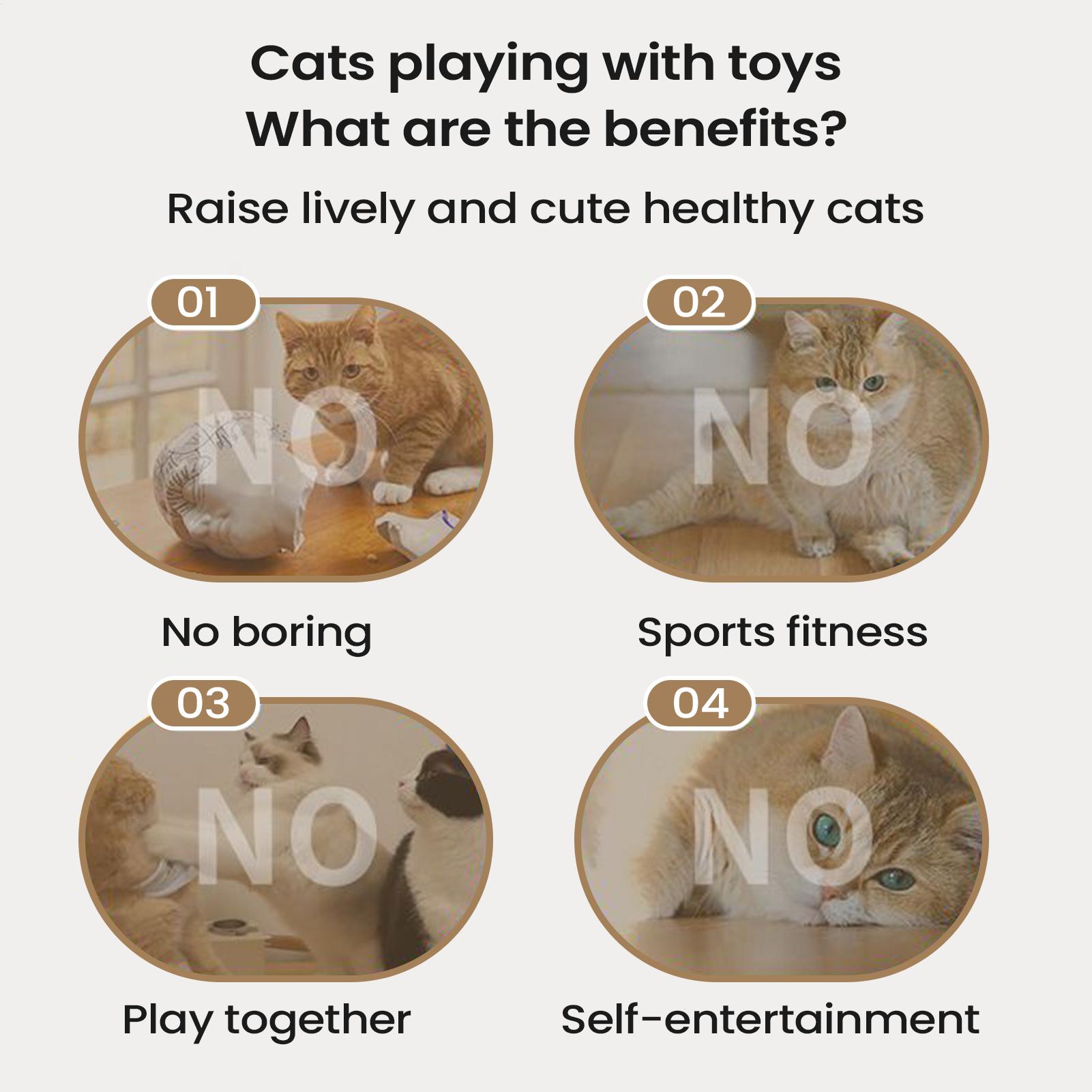 Cat Puzzle Toy Sunflower Design Puzzle Cat Enrichment Toys Game Enrichment Scratcher For Training Mental Exercise Indoor Play China Mainland
Cat Puzzle Toy Sunflower Design Puzzle Cat Enrichment Toys Game Enrichment Scratcher For Training Mental Exercise Indoor Play China Mainland