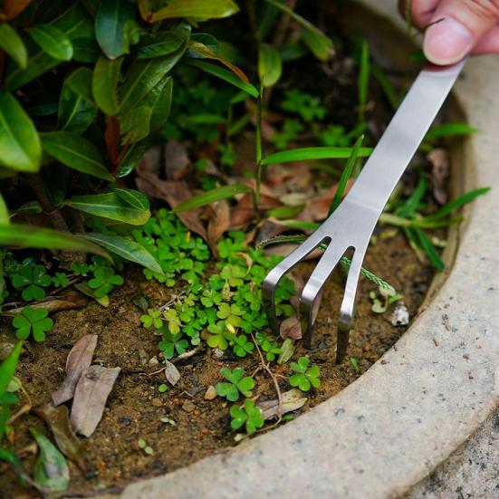 2 Pcs Bonsai Tree Root Rake 3-Prong Stainless Steel Hand Rake Home Gardening Mini Rake for Loosening Soil Potted Plants 2pcs
2 Pcs Bonsai Tree Root Rake 3-Prong Stainless Steel Hand Rake Home Gardening Mini Rake for Loosening Soil Potted Plants 2pcs
