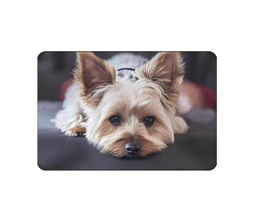 VIKAMA Crystal Pile Carpet Cute Cartoon Animals Entrance Bathroom Kitchen Dirty Resistant Slip Resistant Washable Foot Mat Rug 40X60CM
VIKAMA Crystal Pile Carpet Cute Cartoon Animals Entrance Bathroom Kitchen Dirty Resistant Slip Resistant Washable Foot Mat Rug 40X60CM