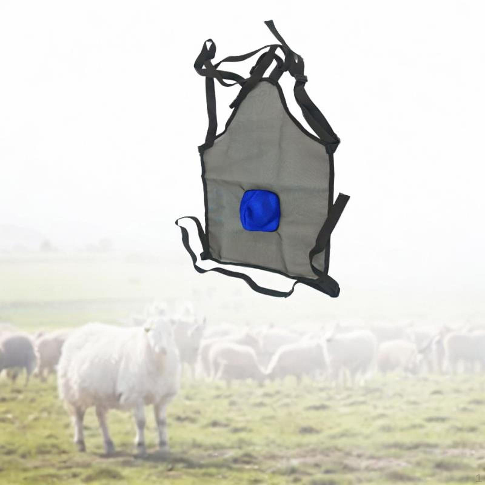 Фартук для спаривания козлов с регулируемыми ремнями и полным покрытием Gray Blue
Фартук для спаривания козлов с регулируемыми ремнями и полным покрытием Gray Blue