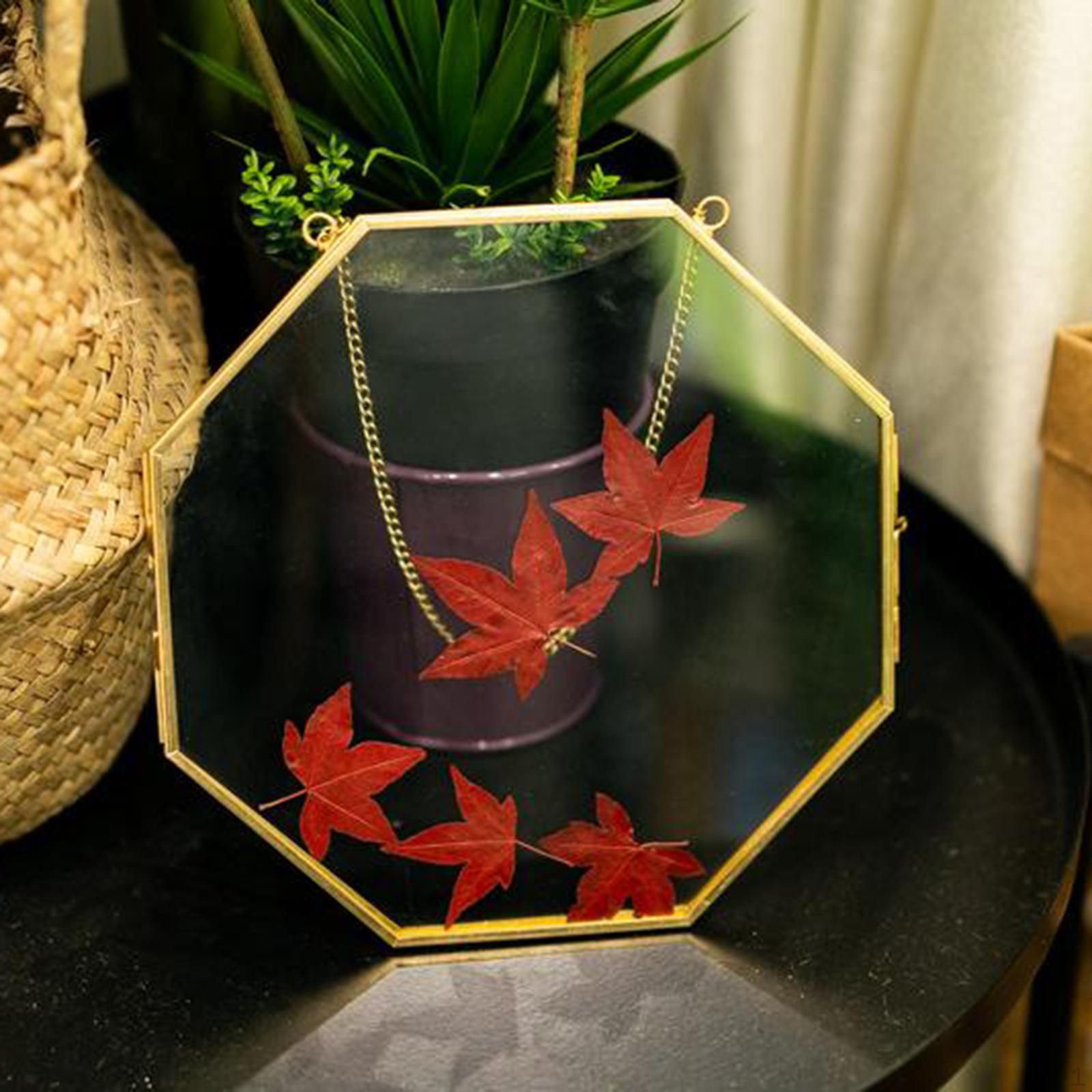 Brass Hanging Photo Copper Glass Geometric for Display Plant Ornament
Brass Hanging Photo Copper Glass Geometric for Display Plant Ornament