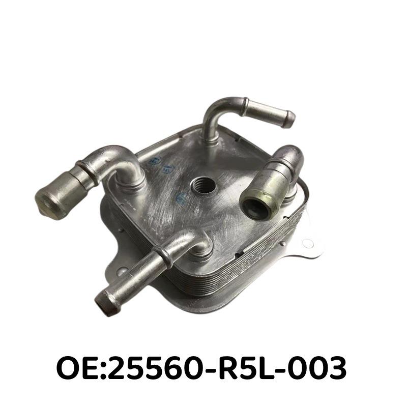 25560-R5L-003: Transmission Oil Cooler for 2012-2014 Honda CRV ATF Gearbox 25560-R5L-003
25560-R5L-003: Transmission Oil Cooler for 2012-2014 Honda CRV ATF Gearbox 25560-R5L-003