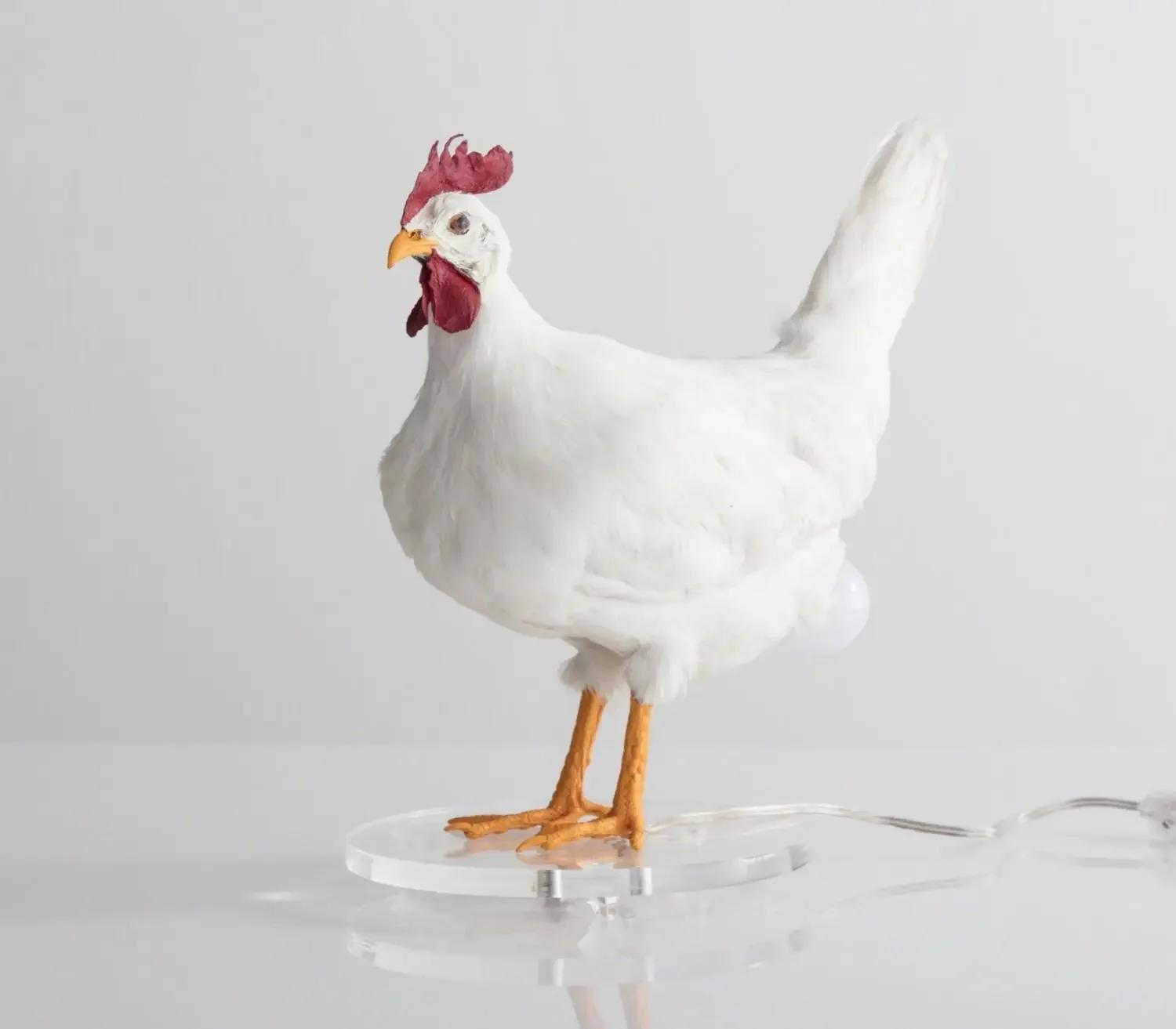 Таксидермическая лампа в виде курицы, декоративные ночные светильники для комнаты, имитация куриных яиц в виде животных, лампа для вечеринки, карнавала, украшения для дома
Таксидермическая лампа в виде курицы, декоративные ночные светильники для комнаты, имитация куриных яиц в виде животных, лампа для вечеринки, карнавала, украшения для дома