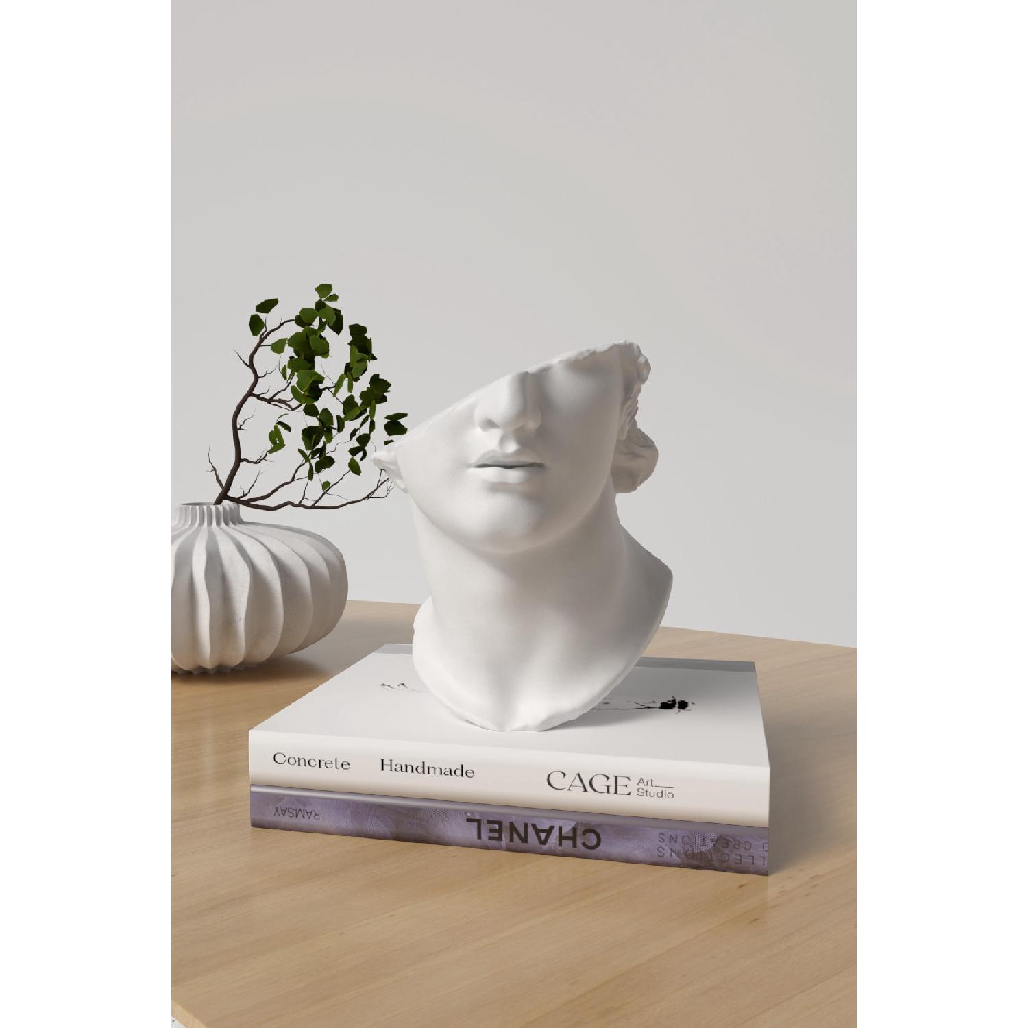 Декоративная бетонная статуя головы Давида - вырезанная голова Давида Статуя головы Давида 13 см, белая
Декоративная бетонная статуя головы Давида - вырезанная голова Давида Статуя головы Давида 13 см, белая