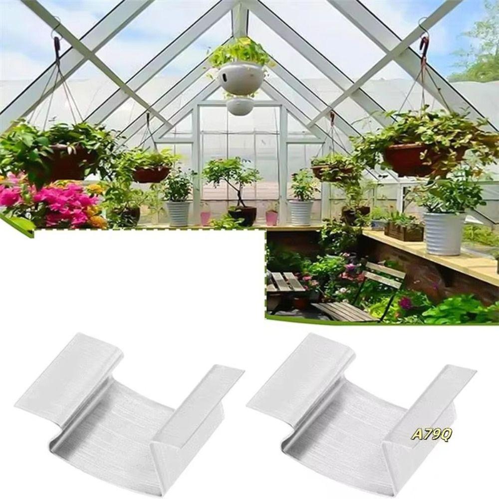 Glazing Repairs Greenhouse Glass Clips Rust-resistant Garden Clips Spring Clips Maintenance 25PCS
Glazing Repairs Greenhouse Glass Clips Rust-resistant Garden Clips Spring Clips Maintenance 25PCS