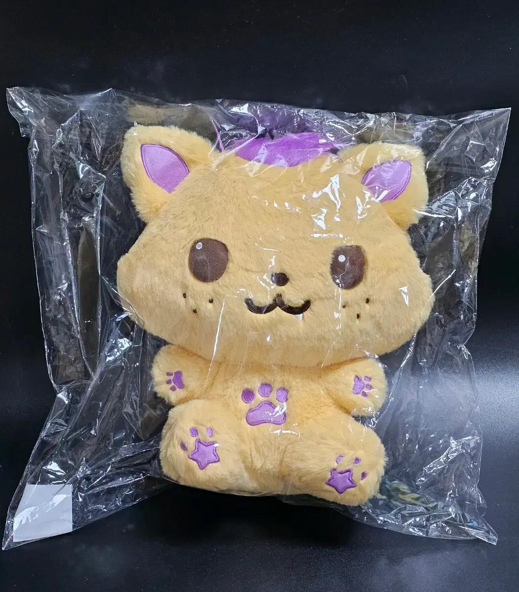 NCT Wish Daewong Wish Doluzionzioning 30cm WISH Wish Bakery Used
NCT Wish Daewong Wish Doluzionzioning 30cm WISH Wish Bakery Used