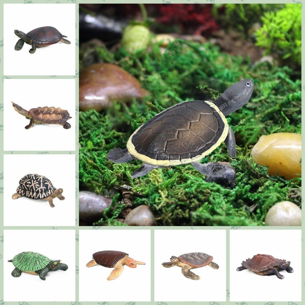 Vinyl Artificial Tortoise Realistic Turtle Model Lifelike Office Desk Ornament Fish Tank
Vinyl Artificial Tortoise Realistic Turtle Model Lifelike Office Desk Ornament Fish Tank